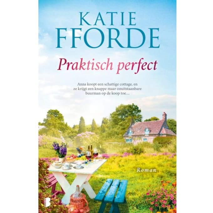 Praktisch Perfect - Katie Fforde