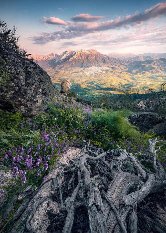 Fotobehang - Flowering Tales 200x280cm - Vliesbehang