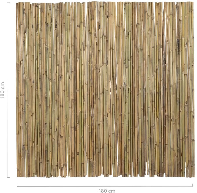 Masters of Bamboo® Bamboemat Basic - 180 x 180 cm - Naturel - Bamboe schutting op rol - Bamboe mat