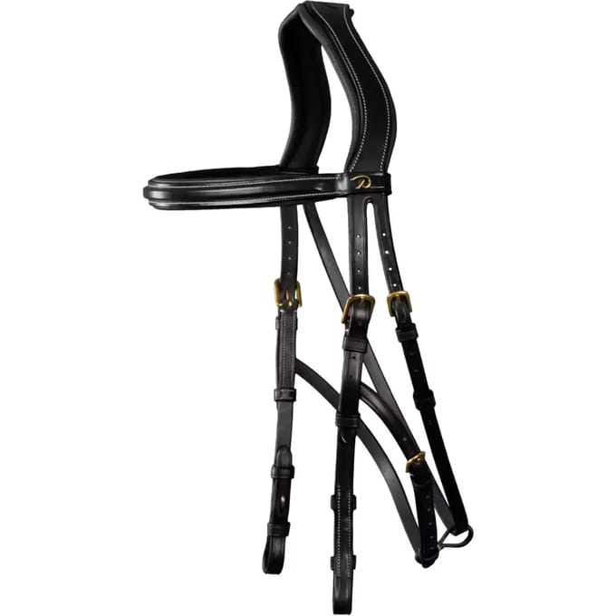 Dy'on Hackamore D Collection By Dy'on Zwart