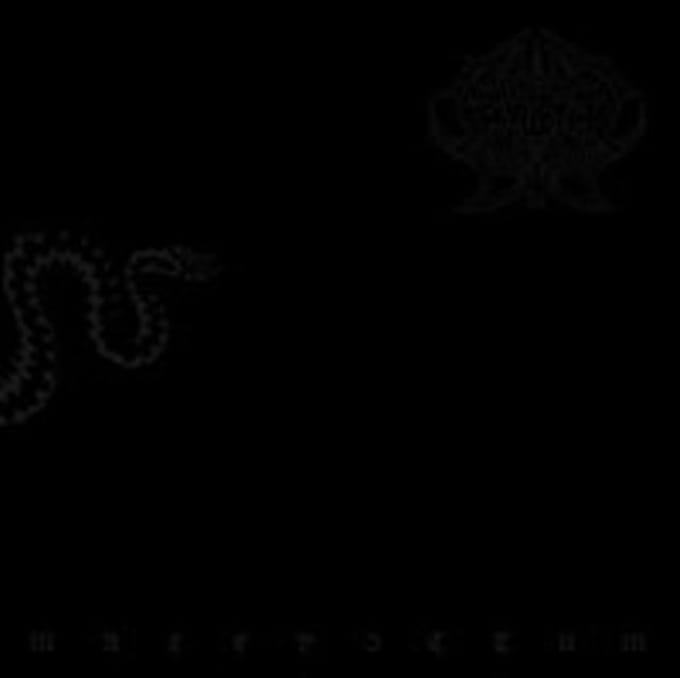 Maledictum -10''-