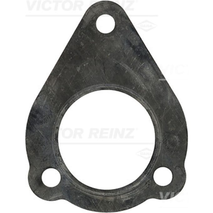 Pakking, uitlaatpijp REINZ 71-33841-00