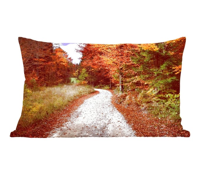 Sierkussens - Kussentjes Woonkamer - 50x30 cm - Herfst - Herfstbladeren - Pad - Bos