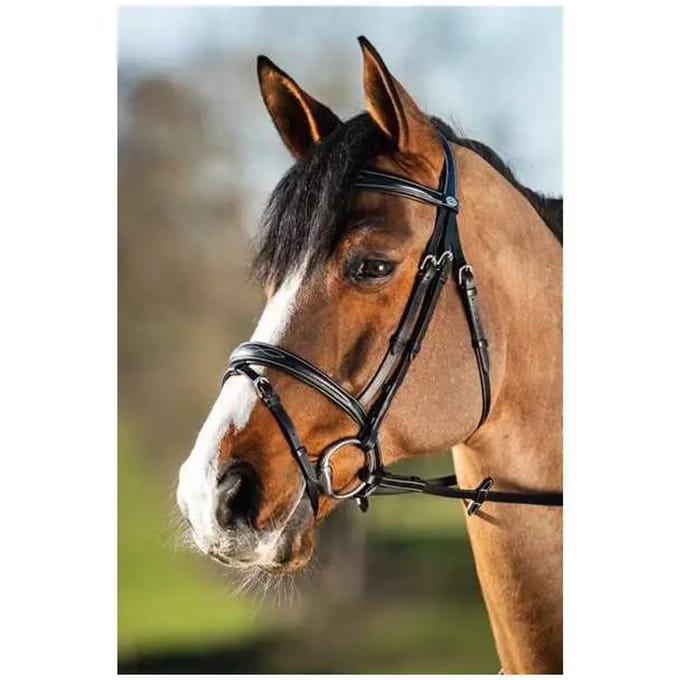 Rijhoofdstellen HFI Elegant