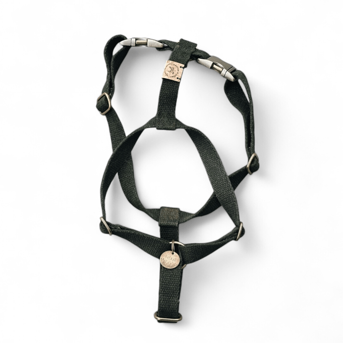 Cooper & Quint Simply Hemp Hondentuig - Medium - Bosgroen -Oud Messing