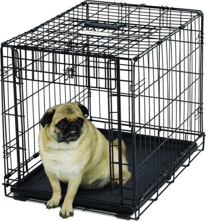 Ovation single door training crate 62x47x50 cm
