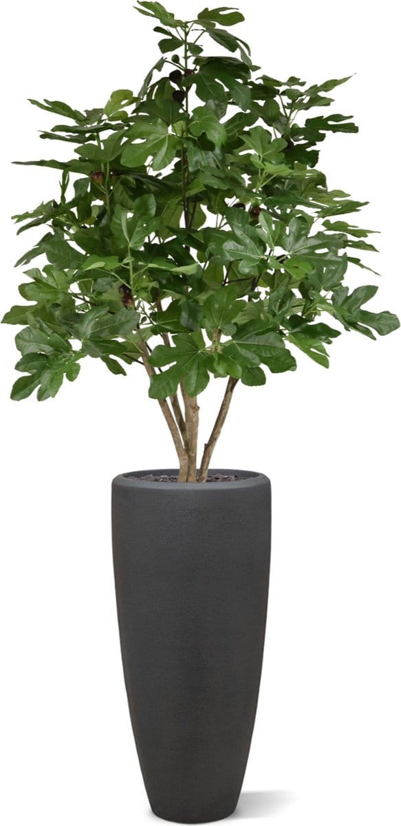 Vijgen kunstboom 120cm