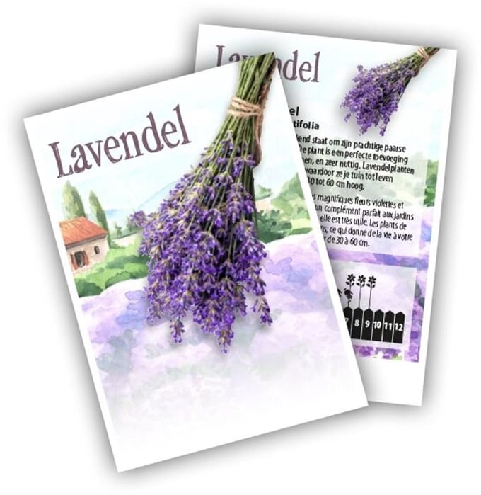 Cadeau premium Lavendel (100 zakjes)