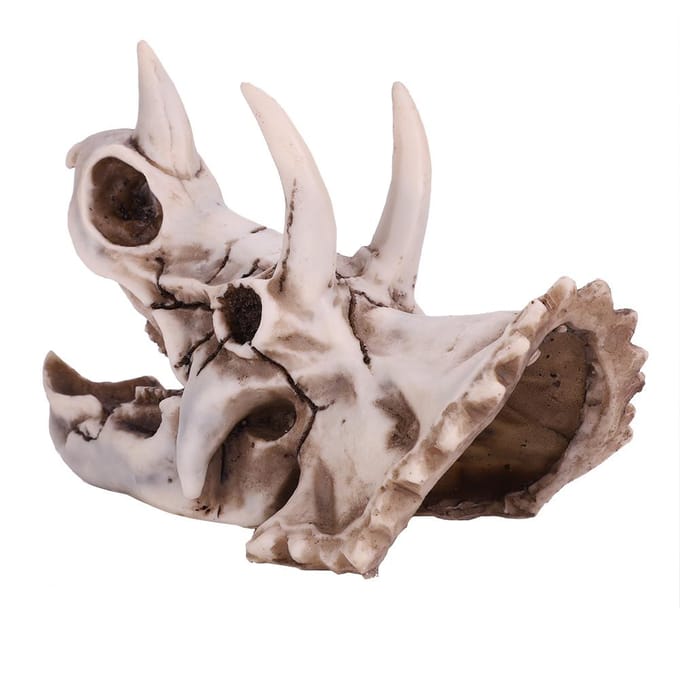 Crâne de dinosaure tricératops en résine, modèle de squelette simulé, décoration pour la maison ou le bureau gray