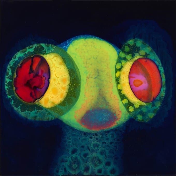 Osees - Sorcs 80 (CD)