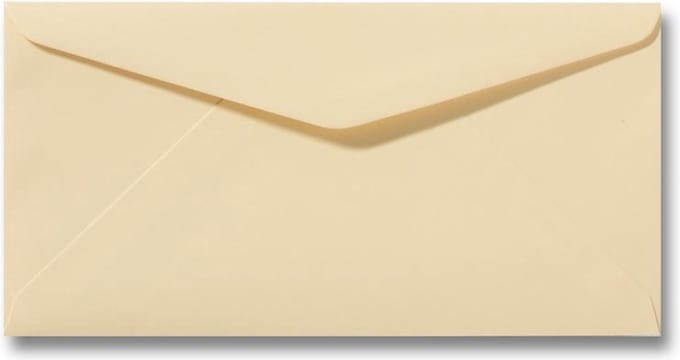 Envelop 11 x 22 cm Chamois 100 stuks