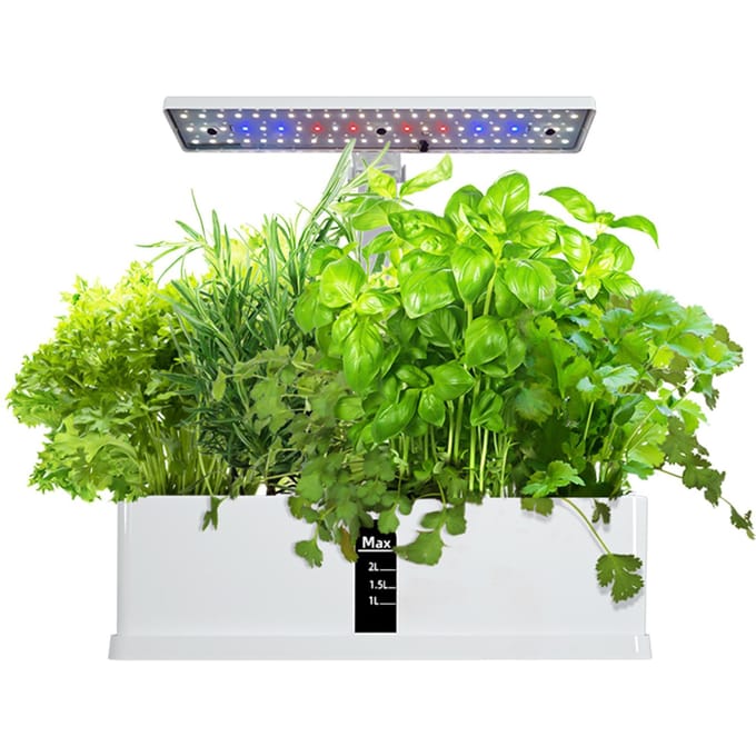 Smart Hydroponics kweeksysteem Indoor Herb Garden Kit 9 peulen Automatische timing met hoogte EU Plug