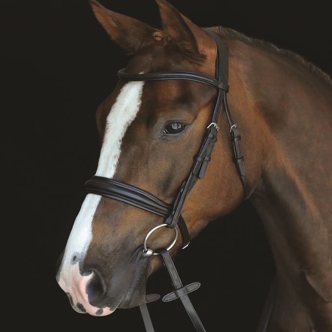 Hoofdstellen Weatherbeeta Collegiate Mono Crown