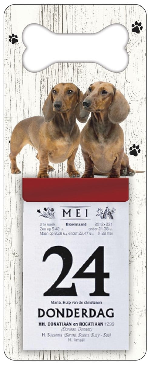 Scheurkalender 2027 Hond: Tekkel
