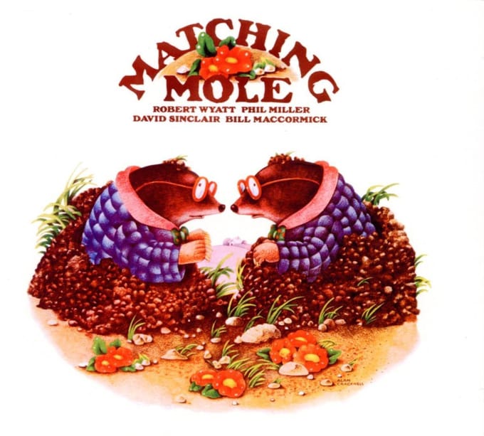 Matching Mole
