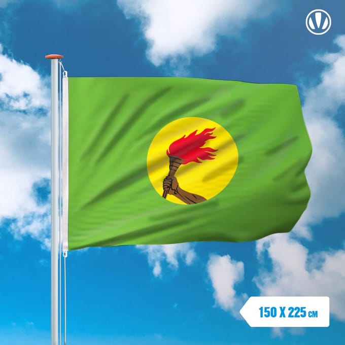Vlag Zaïre 150x225cm