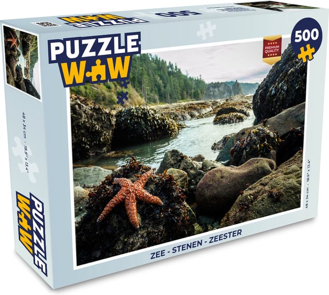 Puzzel Zee - Stenen - Zeester - Legpuzzel - Puzzel 500 stukjes