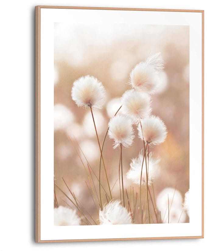 Schilderij Cotton Pops - 40 x 30 - Hout - REINDERS