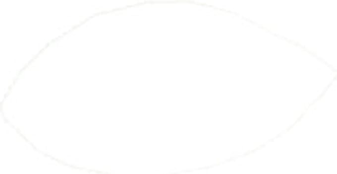 Centrum 24 Rol Clear tape 19x33mm Centrum 80153
