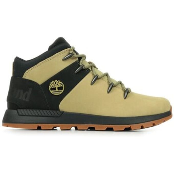 Lage Sneakers Timberland TB0A6AHZEN7