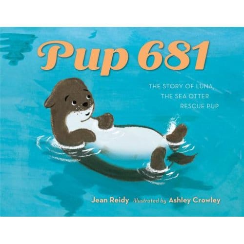 Pup 681 - Jean Reidy