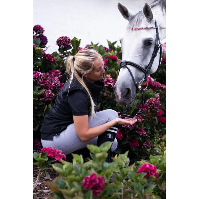 Frontaal voor paard HFI Straight + Strass
