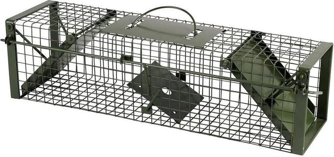 Groene ratten / wezel vangkooi