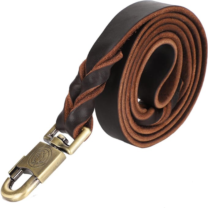 1pc Soft Leather Dog Collar & Leash in Braided Pet Chain (2.5 x 150cm) black