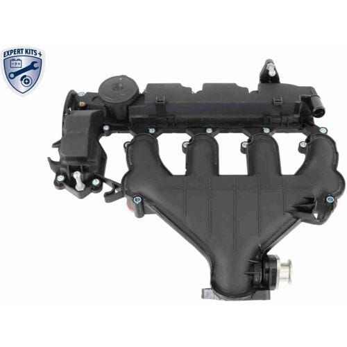 Cilinderkop afdekking VAICO V42-1046