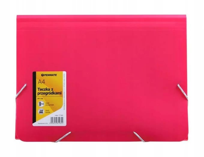 Penmate A4 Map met 10 Vakken - Roze