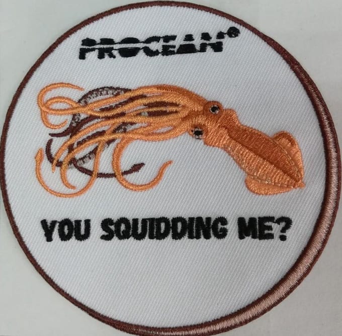 Badge Squidding me
