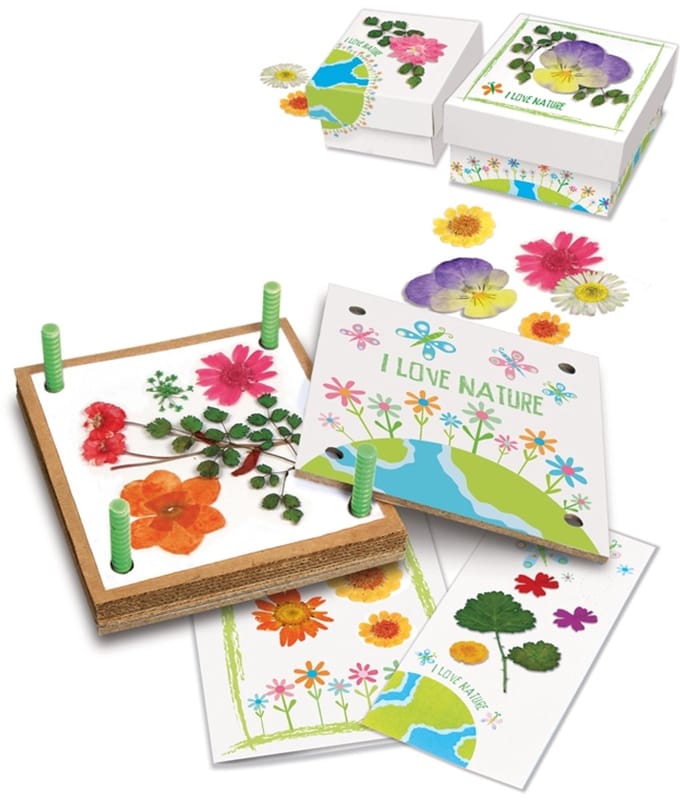 4M Green Creativity/Pressed flower art