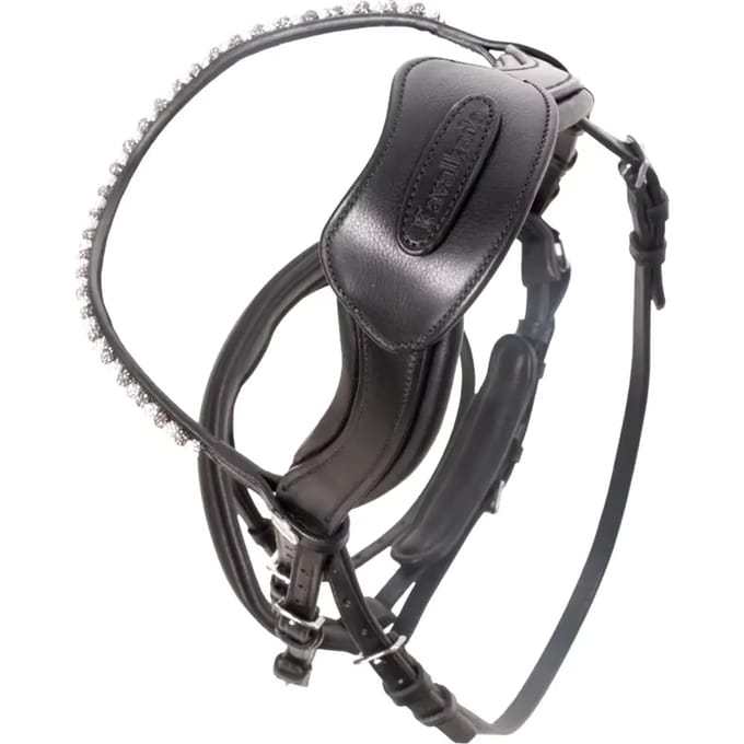 Open horse riding headset with bridge Kavalkade Cre8 Malou