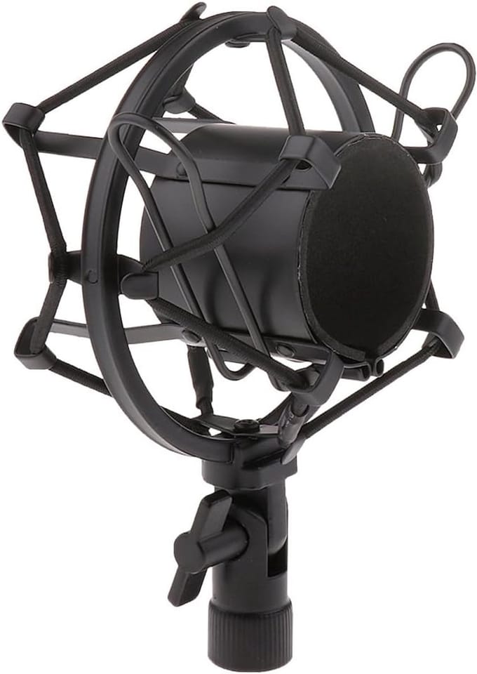 Dailygoody - Microfoonstandaard - Metalen microfoonhouder - Schokbevestiging - 50 mm diameter - Geschikt voor thuis en podium - microfoonhouder