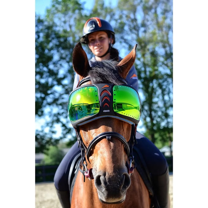 Paardenbril eQuick eVysor