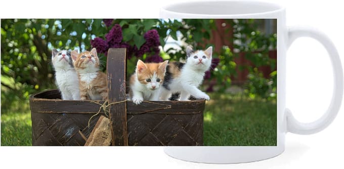 Beker - Mand met Kittens