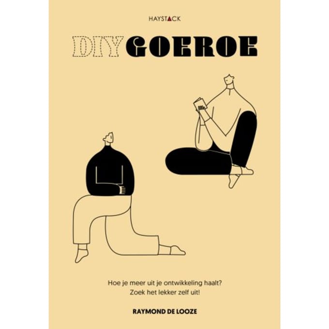 Diy Goeroe - Raymond de Looze
