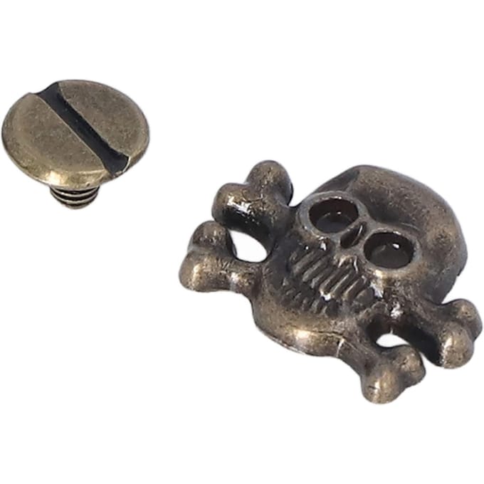 80 Sets Doodshoofd Klinknagels Gothic Stijl Mooie Modieuze DIY Klinknagel Accessoires voor het Maken van Schoenen Riemen LsX1418W black