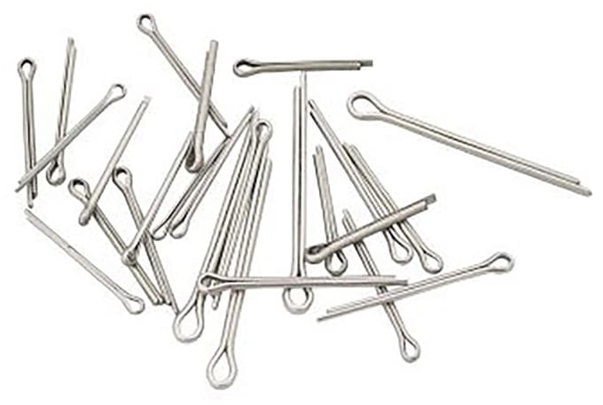 Pinnen