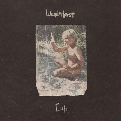 Cub - Wunderhorse
