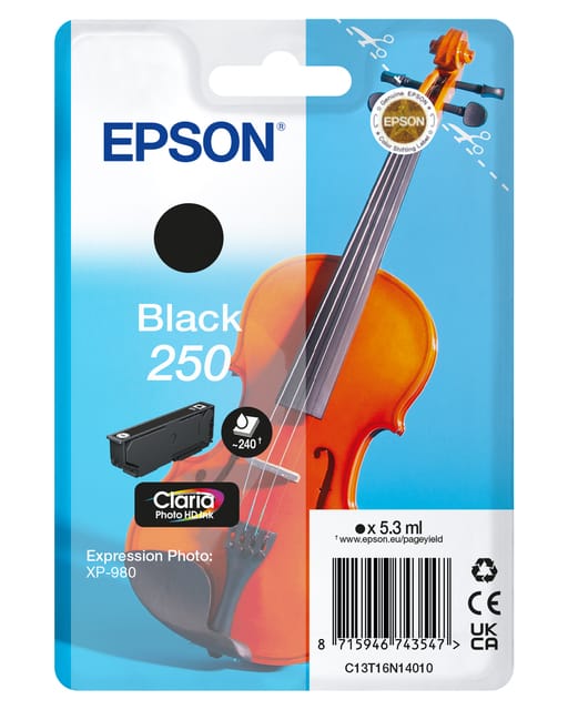 Epson 250 (C13T16N14010) Inktcartridge Zwart