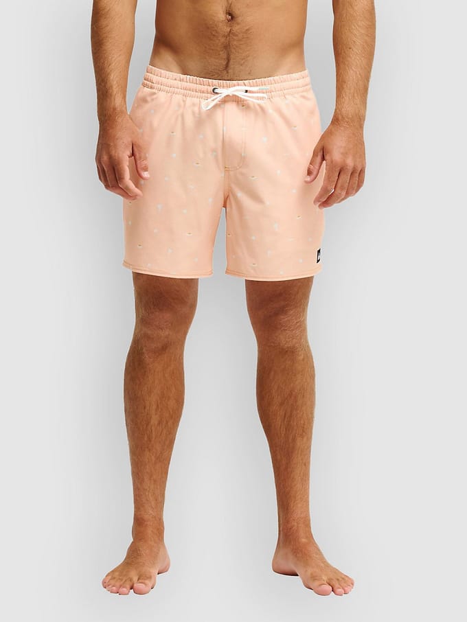 Quiksilver Stretch Printed Volley 16 Boardshorts blauw