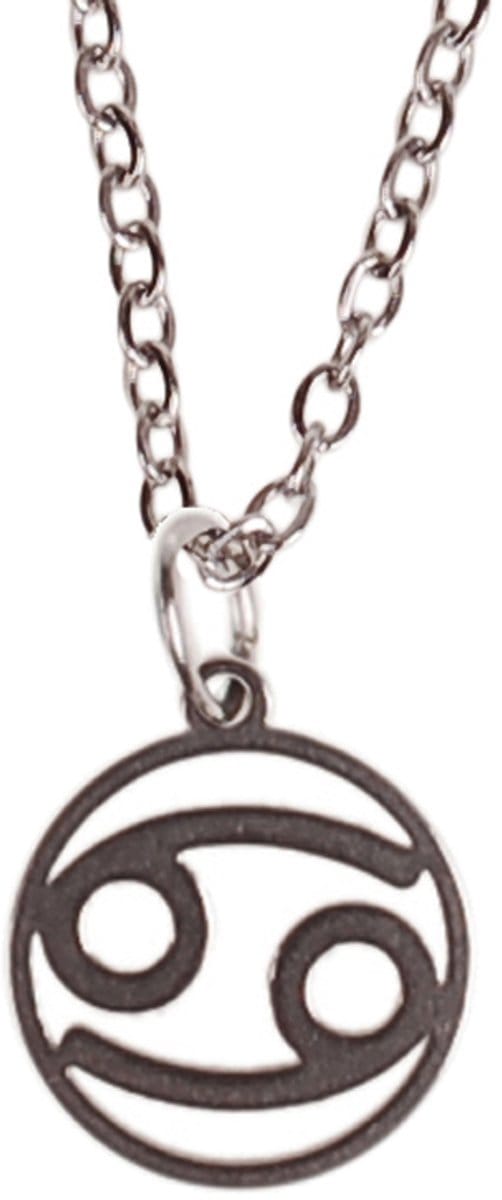 Kinderketting Zilverkleurig 45cm - Hangertje Sterrenbeeld RVS - Kreeft