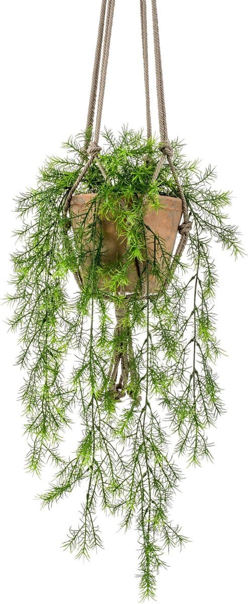 Asparagus Sprengeri Kunst Hangplant in stenen pot 75cm