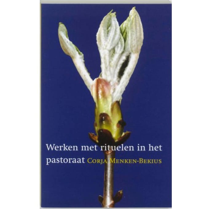 Werken Met Rituelen In Het Pastoraat - c. Menken-Bekius