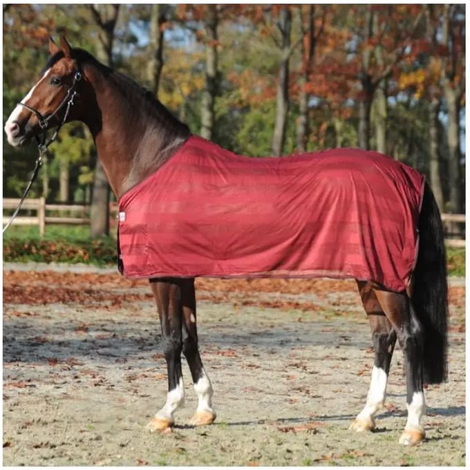 Paardenvliegendeken Kavalkade Stripe