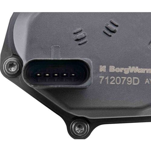 EGR-klep BORG WARNER 712079D
