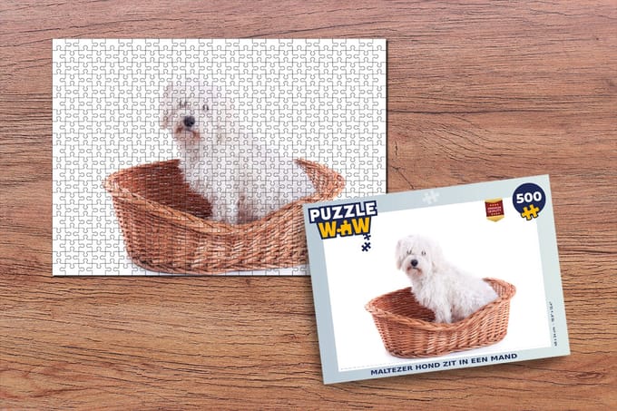 Puzzel Maltezer hond zit in een mand - Legpuzzel - Puzzel 500 stukjes