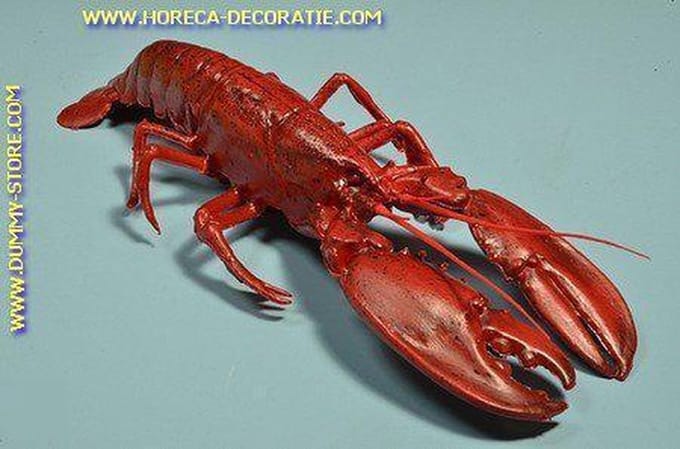 Kreeft XXL - 500x180 mm - Visdummy