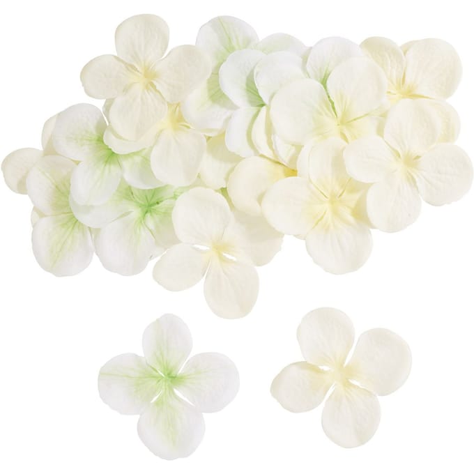 Hortensia bloesems - Cream